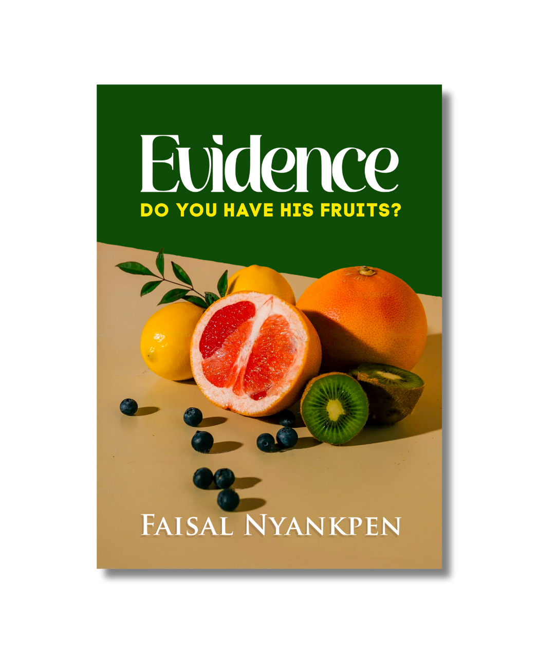 Evidence (eBook)